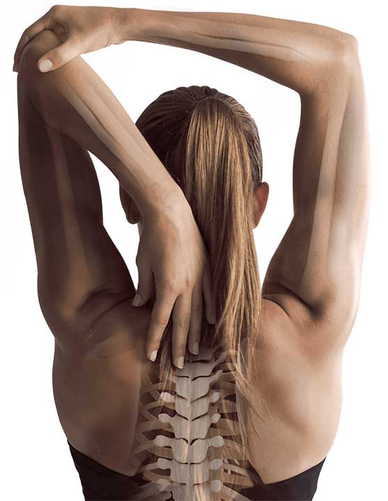 Knochen Osteoporose Fitte Knoche